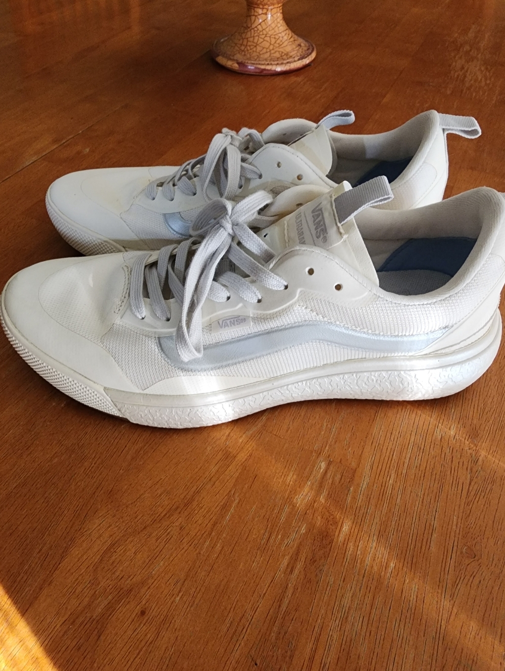 Vans Ultra Range Shoes